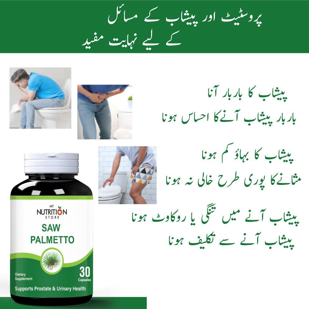 SAW PALLMETTO 6