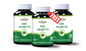SAW PALMETTO DEAL OFFER